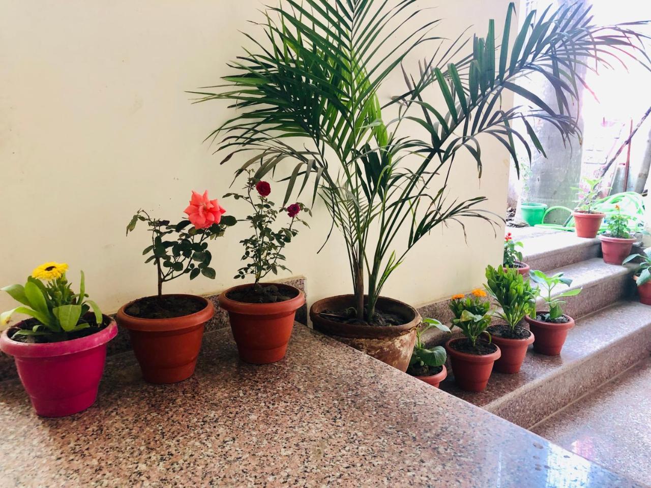 Gangotri Paying Guest House Varanasi Eksteriør bilde